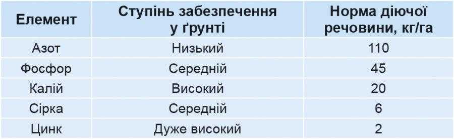 ТвблиÑа